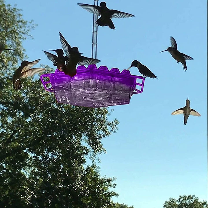 Comedero Colgante para Colibríes con Múltiples Puertos