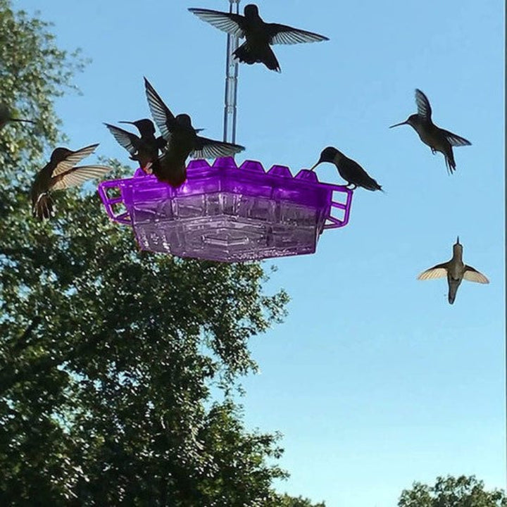 Comedero Colgante para Colibríes con Múltiples Puertos