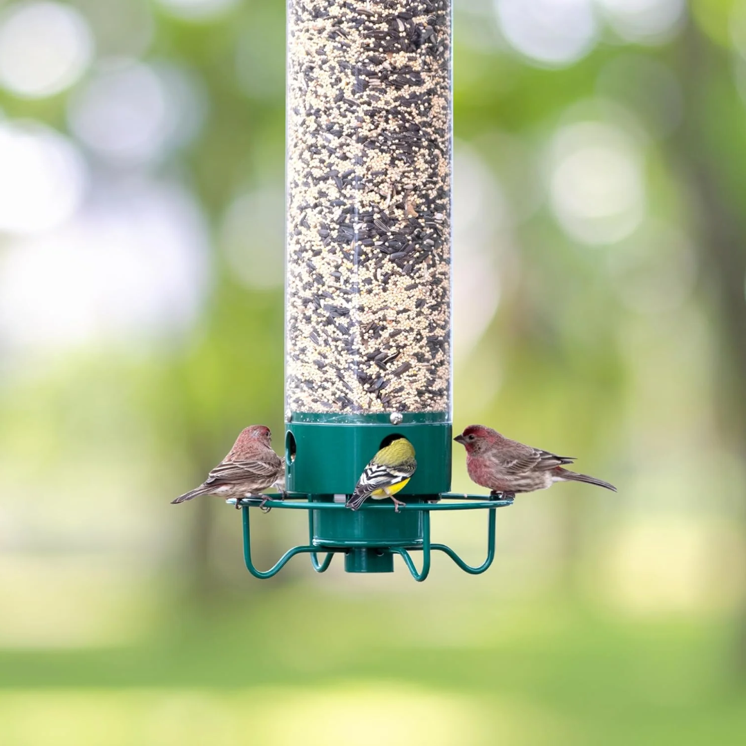 Comedero Colgante para Pájaros con Tubo y Aro Giratorio