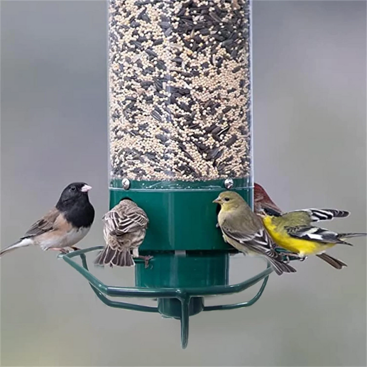 Comedero Colgante para Pájaros con Tubo y Aro Giratorio