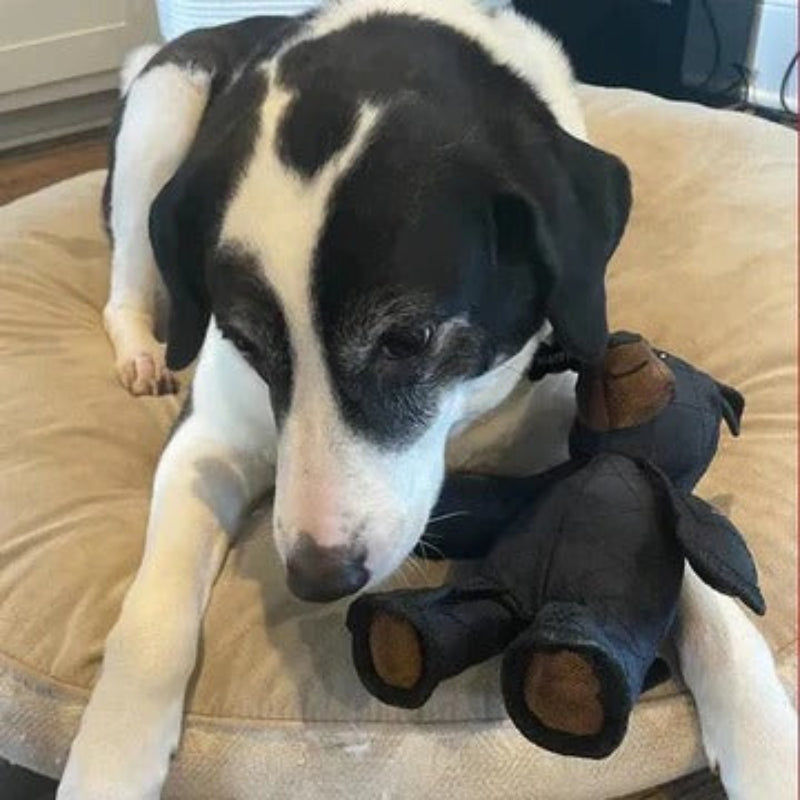 Juguete de Peluche para Perros con Forma de Oso y Diseño Acolchado