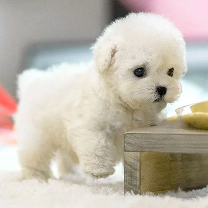 Peluche de Perrito con Diseño Realista en Posición Sentada