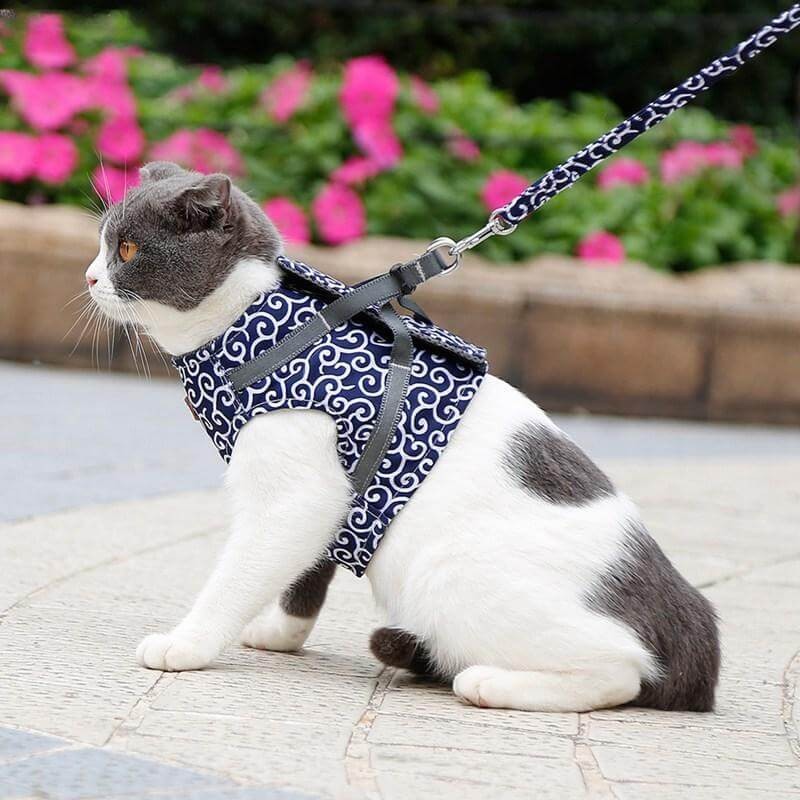 Arnés para gatos con correa - Estilo chaleco con estampado de remolinos
