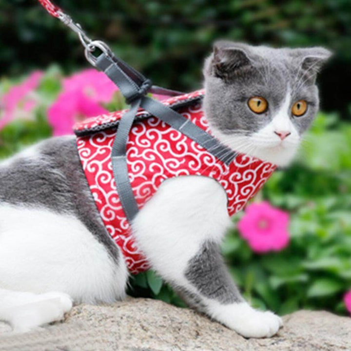 Arnés para gatos con correa - Estilo chaleco con estampado de remolinos