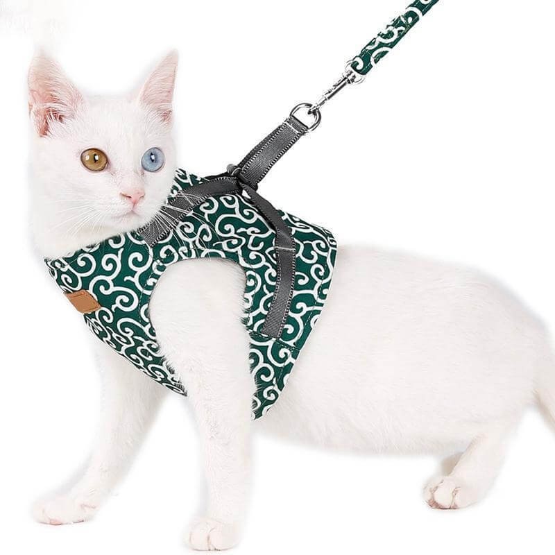 Arnés para gatos con correa - Estilo chaleco con estampado de remolinos