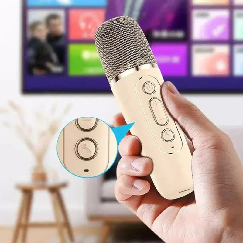 Máquina de karaoke portátil Bluetooth con micrófonos inalámbricos