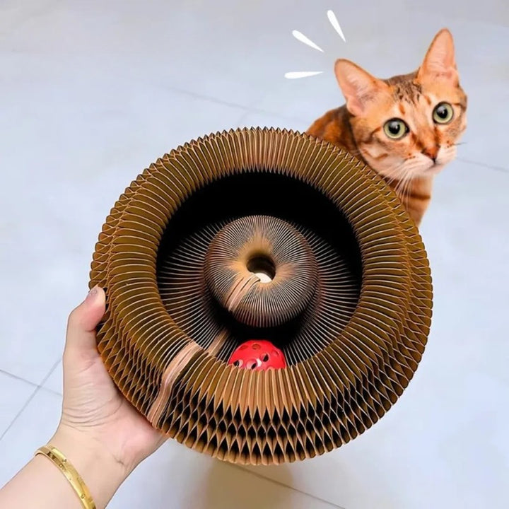 Rascador Interactivo para Gatos - Forma Redonda